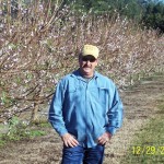 Blooming Peach Trees with C-CAT PLUS